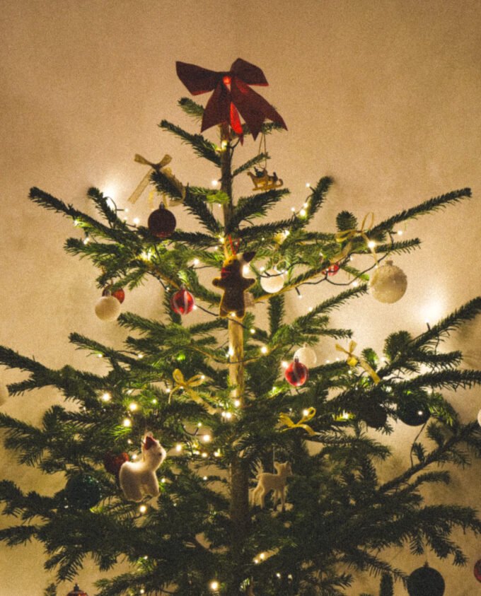 An expat preparing to dispose of a Christmas tree in Germany by removing tinsel on a sidewalk.